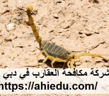 شركة مكافحة العقارب في دبي