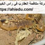 شركة مكافحة العقارب في راس الخيمة