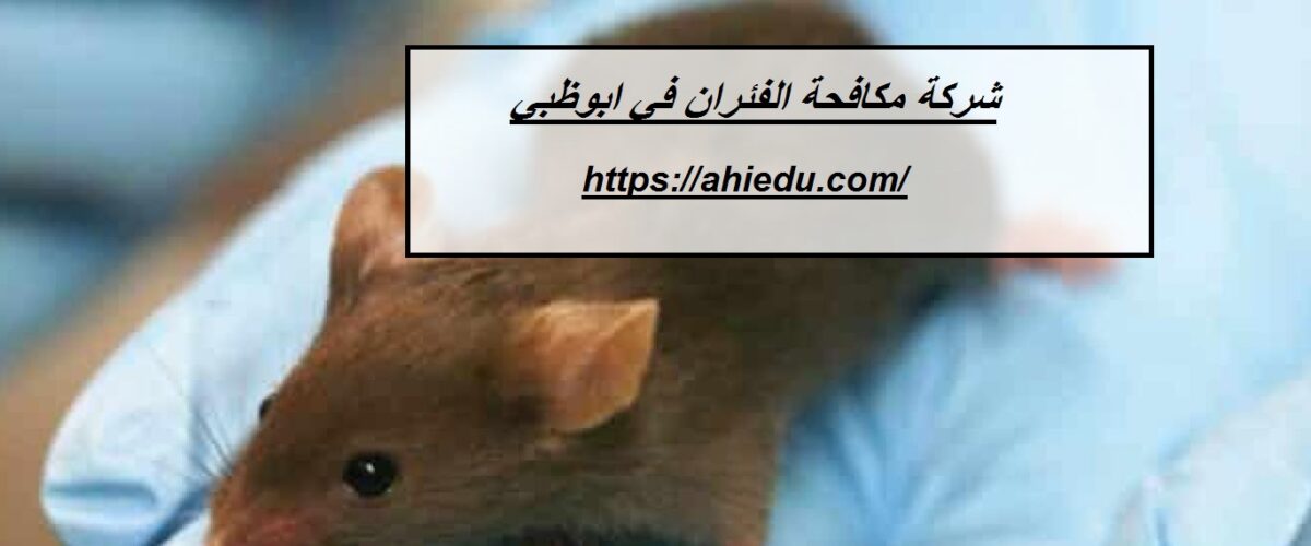 شركة مكافحة الفئران في ابوظبي