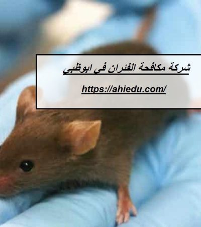 شركة مكافحة الفئران في ابوظبي
