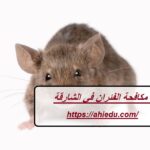 شركة مكافحة الفئران في الشارقة