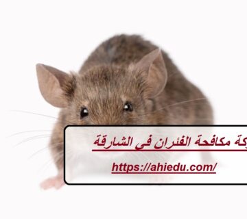 شركة مكافحة الفئران في الشارقة