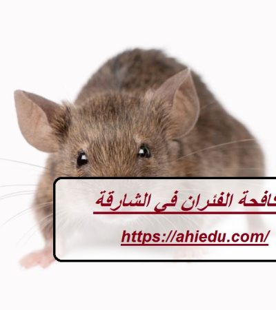 شركة مكافحة الفئران في الشارقة