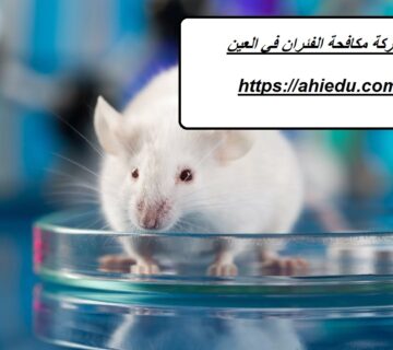 شركة مكافحة الفئران في العين