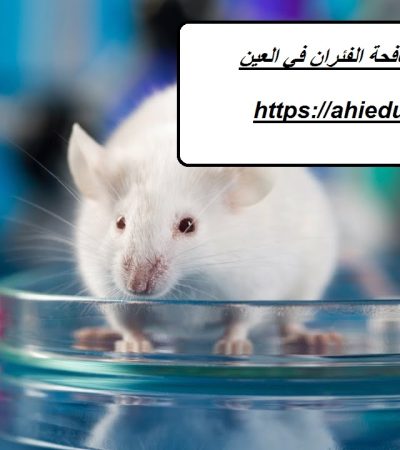 شركة مكافحة الفئران في العين