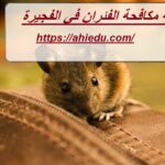 شركة مكافحة الفئران في الفجيرة