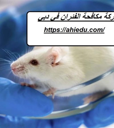 شركة مكافحة الفئران في دبي