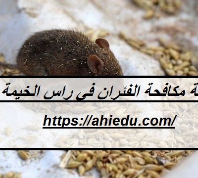 شركة مكافحة الفئران في راس الخيمة