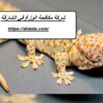 شركة مكافحة الوزغ في الشارقة