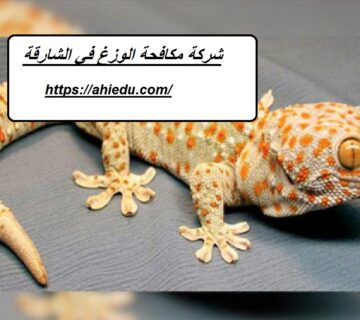 شركة مكافحة الوزغ في الشارقة