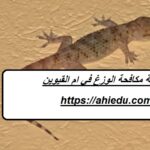 شركة مكافحة الوزغ في ام القيوين