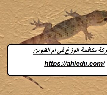 شركة مكافحة الوزغ في ام القيوين
