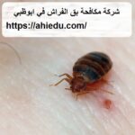 شركة مكافحة بق الفراش في ابوظبي