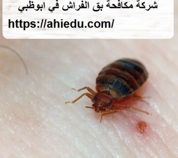 شركة مكافحة بق الفراش في ابوظبي