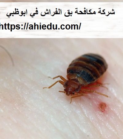 شركة مكافحة بق الفراش في ابوظبي