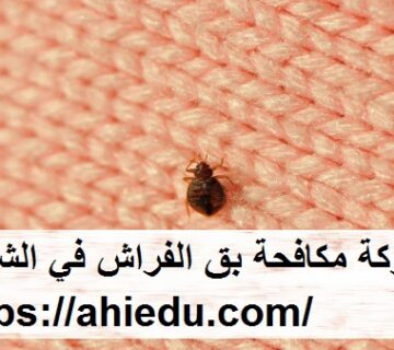 شركة مكافحة بق الفراش في الشارقة