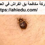 شركة مكافحة بق الفراش في العين