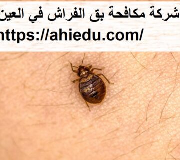 شركة مكافحة بق الفراش في العين