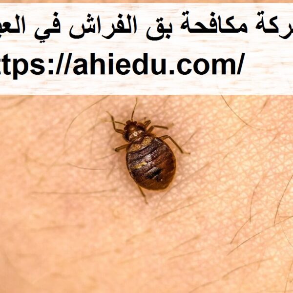 شركة مكافحة بق الفراش في العين شركة مكافحة بق الفراش في العين