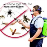 شركة مكافحة حشرات في البرشاء دبي