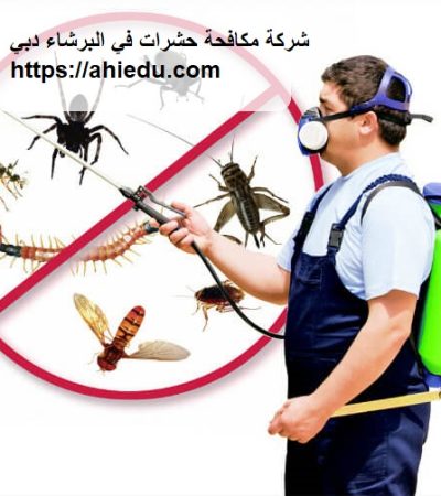 شركة مكافحة حشرات في البرشاء دبي