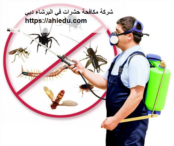 شركة مكافحة حشرات في البرشاء دبي