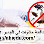 شركة مكافحة حشرات في الجميرا دبي