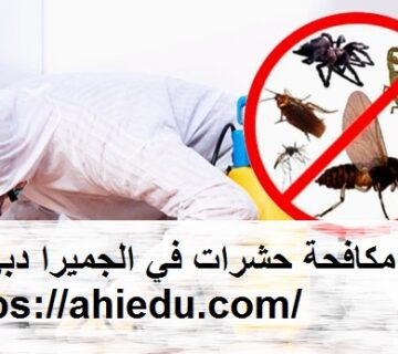 شركة مكافحة حشرات في الجميرا دبي