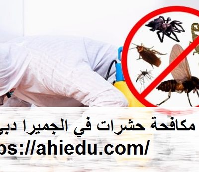 شركة مكافحة حشرات في الجميرا دبي