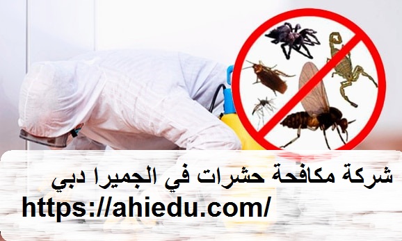 شركة مكافحة حشرات في الجميرا دبي