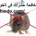 شركة مكافحة حشرات في الخوانيج دبي