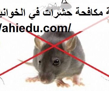 شركة مكافحة حشرات في الخوانيج دبي