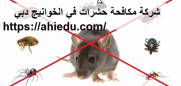 شركة مكافحة حشرات في الخوانيج دبي