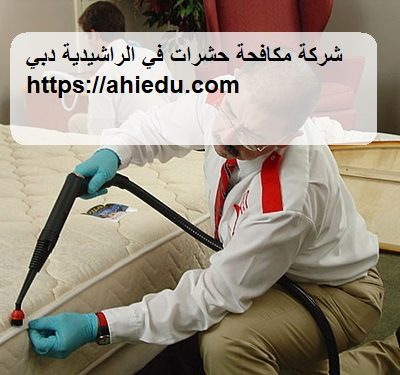 شركة مكافحة حشرات في الراشيدية دبي