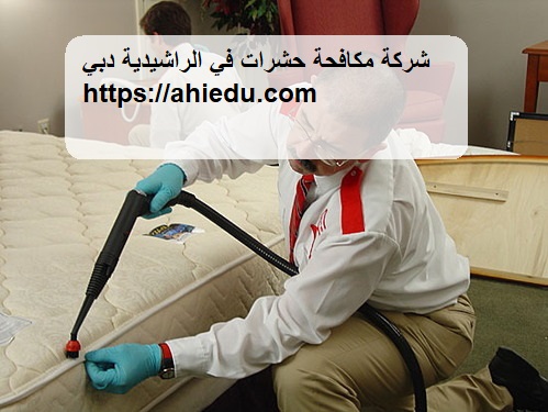 شركة مكافحة حشرات في الراشيدية دبي