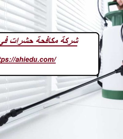 شركة مكافحة حشرات في الذيد