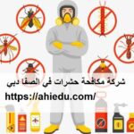 شركة مكافحة حشرات في الصفا دبي