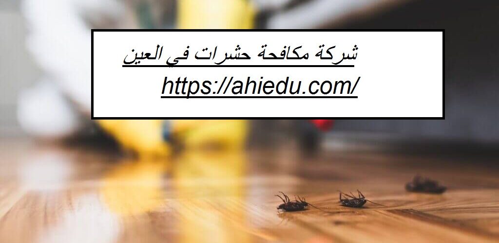 شركة مكافحة حشرات في العين