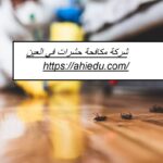 شركة مكافحة حشرات في العين