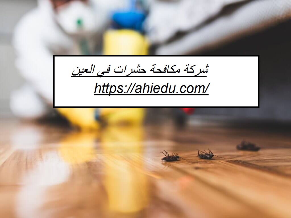 شركة مكافحة حشرات في العين