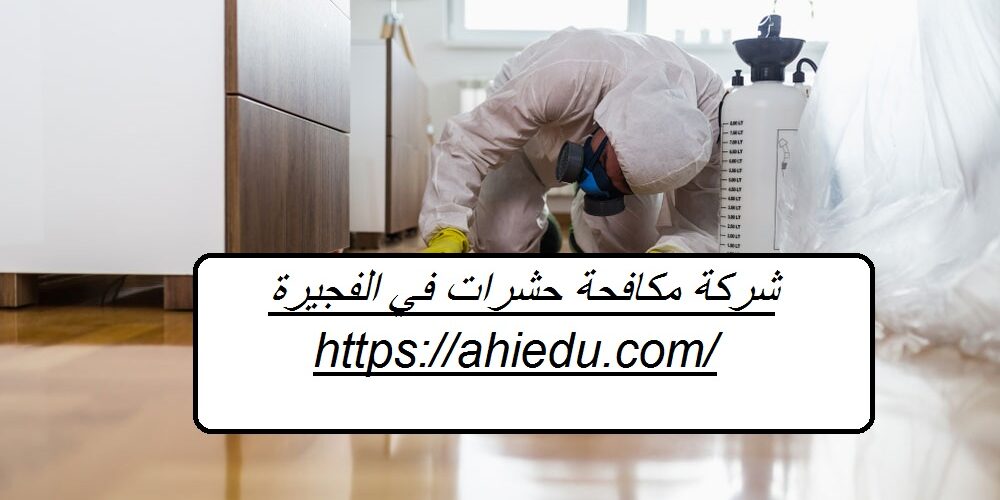 شركة مكافحة حشرات في الفجيرة