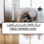شركة مكافحة حشرات في الفجيرة