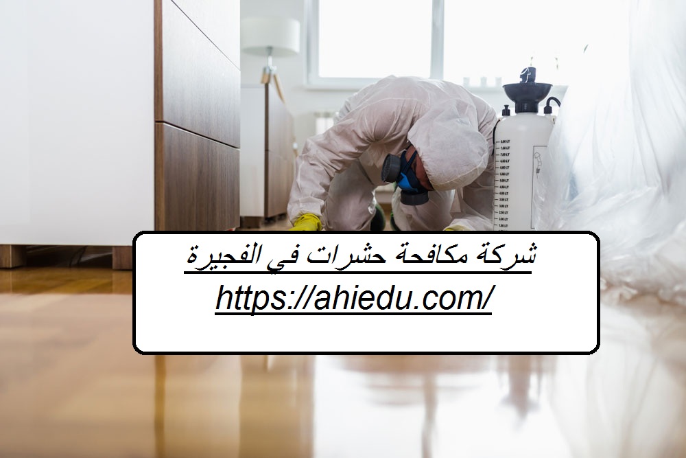 شركة مكافحة حشرات في الفجيرة
