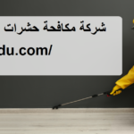 شركة مكافحة حشرات في القصيص دبي