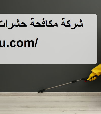 شركة مكافحة حشرات في القصيص دبي