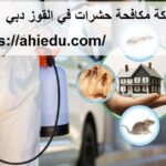 شركة مكافحة حشرات في القوز دبي
