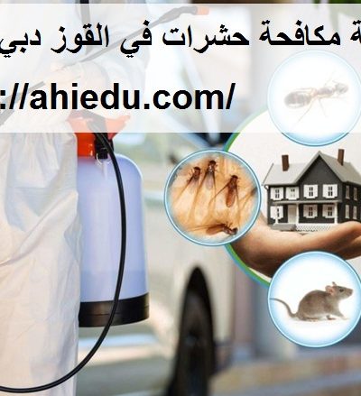 شركة مكافحة حشرات في القوز دبي