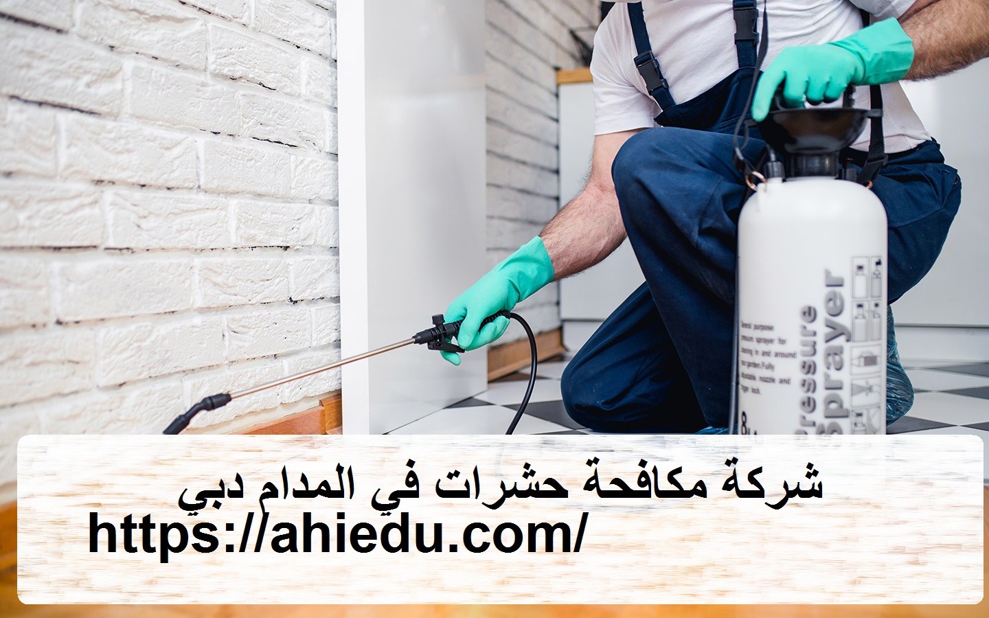 شركة مكافحة حشرات في المدام دبي