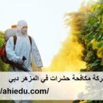 شركة مكافحة حشرات في المزهر دبي