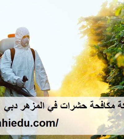 شركة مكافحة حشرات في المزهر دبي